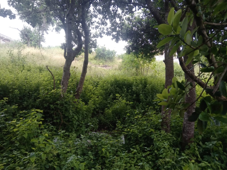 Commercial Property for Sale in Aston Bay Eastern Cape